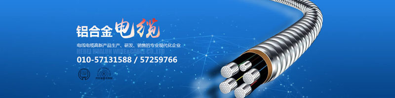 滄州市統(tǒng)計工作規(guī)范化建設推進會在華倫公司順利召開！